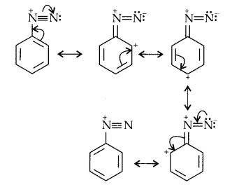 NCERT Solutions for Class 12 Chemistry Chapter 13 Amines 21