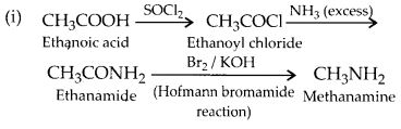 NCERT Solutions for Class 12 Chemistry Chapter 13 Amines 24