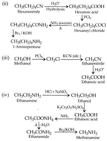 NCERT Solutions for Class 12 Chemistry Chapter 13 Amines 25