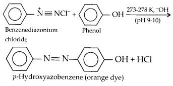 NCERT Solutions for Class 12 Chemistry Chapter 13 Amines 32