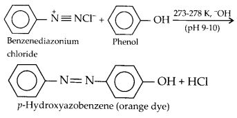 NCERT Solutions for Class 12 Chemistry Chapter 13 Amines 32