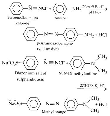 NCERT Solutions for Class 12 Chemistry Chapter 13 Amines 33