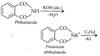 NCERT Solutions for Class 12 Chemistry Chapter 13 Amines 35