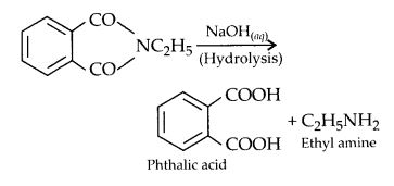 NCERT Solutions for Class 12 Chemistry Chapter 13 Amines 36