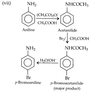NCERT Solutions for Class 12 Chemistry Chapter 13 Amines 43