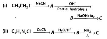 NCERT Solutions for Class 12 Chemistry Chapter 13 Amines 46