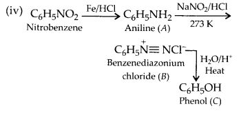 NCERT Solutions for Class 12 Chemistry Chapter 13 Amines 49