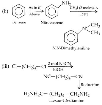 NCERT Solutions for Class 12 Chemistry Chapter 13 Amines 5