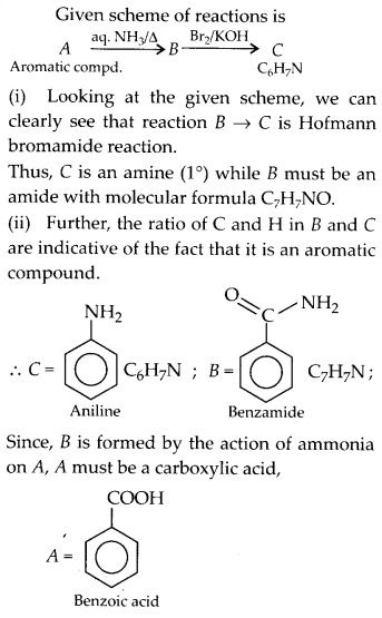 NCERT Solutions for Class 12 Chemistry Chapter 13 Amines 51