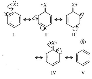 NCERT Solutions for Class 12 Chemistry Chapter 13 Amines 57