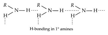 NCERT Solutions for Class 12 Chemistry Chapter 13 Amines 60