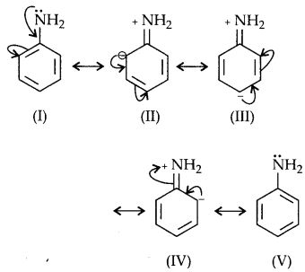 NCERT Solutions for Class 12 Chemistry Chapter 13 Amines 61