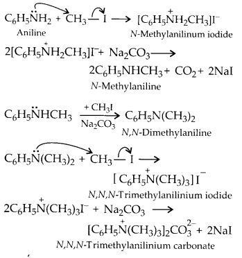 NCERT Solutions for Class 12 Chemistry Chapter 13 Amines 8