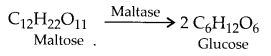 NCERT Solutions for Class 12 Chemistry Chapter 14 Biomolecules 10