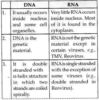 NCERT Solutions for Class 12 Chemistry Chapter 14 Biomolecules 11