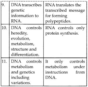 NCERT Solutions for Class 12 Chemistry Chapter 14 Biomolecules 13