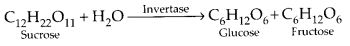 NCERT Solutions for Class 12 Chemistry Chapter 14 Biomolecules 2