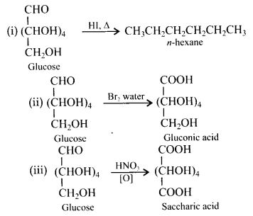 NCERT Solutions for Class 12 Chemistry Chapter 14 Biomolecules 3