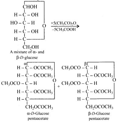 NCERT Solutions for Class 12 Chemistry Chapter 14 Biomolecules 5