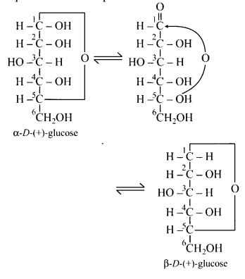 NCERT Solutions for Class 12 Chemistry Chapter 14 Biomolecules 6