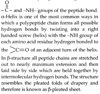 NCERT Solutions for Class 12 Chemistry Chapter 14 Biomolecules 7