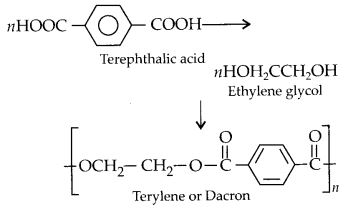 NCERT Solutions for Class 12 Chemistry Chapter 15 Polymers 15