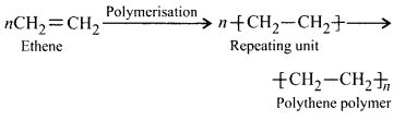 NCERT Solutions for Class 12 Chemistry Chapter 15 Polymers 3