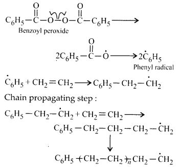 NCERT Solutions for Class 12 Chemistry Chapter 15 Polymers 6