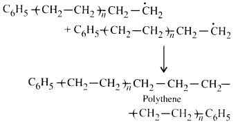 NCERT Solutions for Class 12 Chemistry Chapter 15 Polymers 7