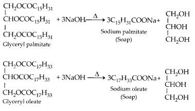 NCERT Solutions for Class 12 Chemistry Chapter 16 Chemistry in Every Day Life 1