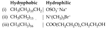 NCERT Solutions for Class 12 Chemistry Chapter 16 Chemistry in Every Day Life 13