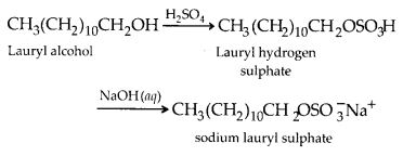 NCERT Solutions for Class 12 Chemistry Chapter 16 Chemistry in Every Day Life 5