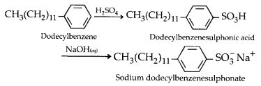 NCERT Solutions for Class 12 Chemistry Chapter 16 Chemistry in Every Day Life 6
