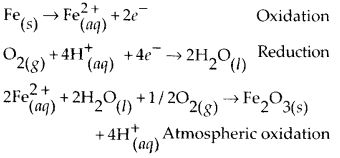 NCERT Solutions for Class 12 Chemistry Chapter 3 Electrochemistry 13