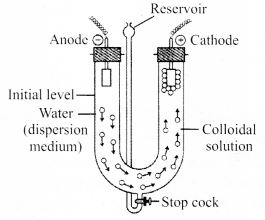 NCERT Solutions for Class 12 Chemistry Chapter 5 Surface Chemistry 6