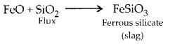 NCERT Solutions for Class 12 Chemistry Chapter 6 General Principles and Processes of Isolation of Elements 10