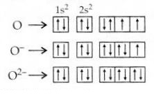 NCERT Solutions for Class 12 Chemistry Chapter 7 The p-Block Elements 29