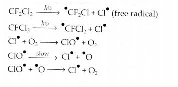 NCERT Solutions for Class 12 Chemistry Chapter 7 The p-Block Elements 30