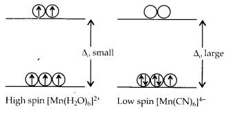 NCERT Solutions for Class 12 Chemistry Chapter 9 Coordination Compounds 10