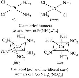 NCERT Solutions for Class 12 Chemistry Chapter 9 Coordination Compounds 18