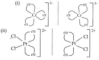 NCERT Solutions for Class 12 Chemistry Chapter 9 Coordination Compounds 20