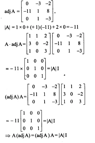 NCERT Solutions for Class 12 Maths Chapter 4 Determinants Ex 4.5 Q4.1