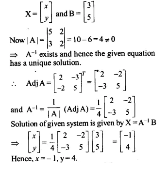NCERT Solutions for Class 12 Maths Chapter 4 Determinants Ex 4.6 Q10.1