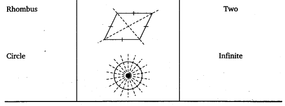 NCERT Solutions for Class 6 Maths Chapter 13 Symmetry 17