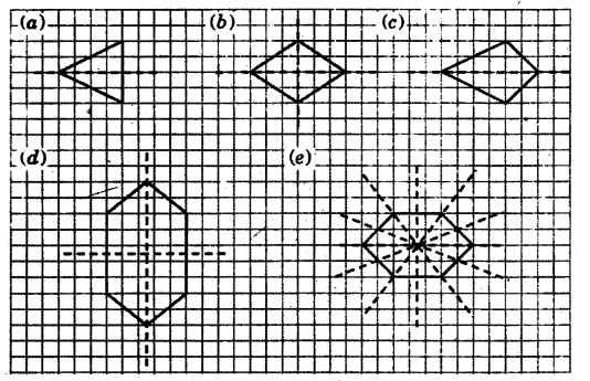 NCERT Solutions for Class 6 Maths Chapter 13 Symmetry 21