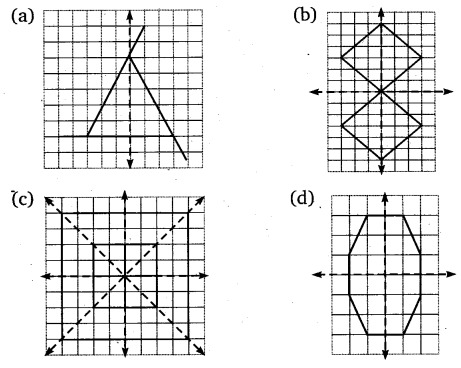 NCERT Solutions for Class 6 Maths Chapter 13 Symmetry 23