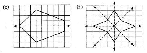 NCERT Solutions for Class 6 Maths Chapter 13 Symmetry 24