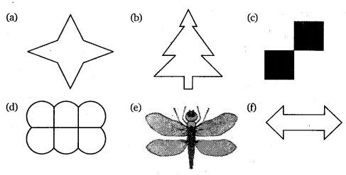 NCERT Solutions for Class 6 Maths Chapter 13 Symmetry 28