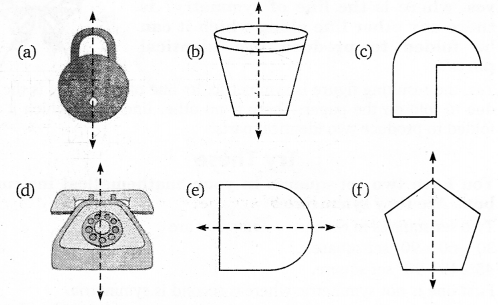 NCERT Solutions for Class 6 Maths Chapter 13 Symmetry 3