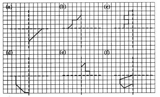 NCERT Solutions for Class 6 Maths Chapter 13 Symmetry 30